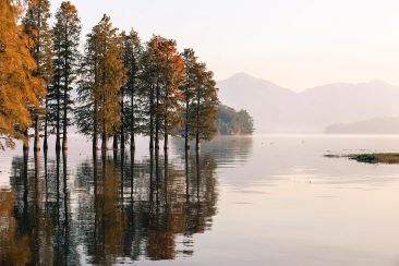 Devikulam Lake